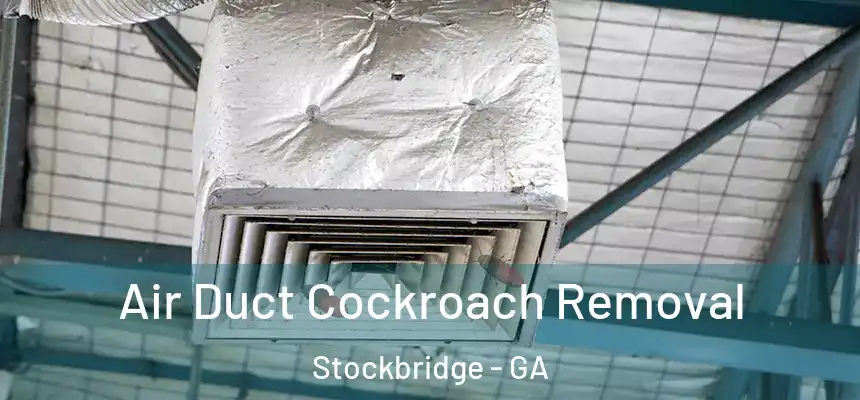 Air Duct Cockroach Removal Stockbridge - GA