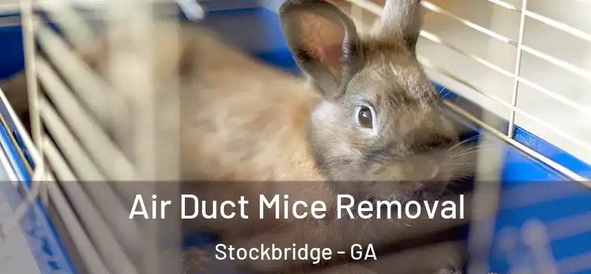 Air Duct Mice Removal Stockbridge - GA