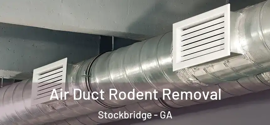 Air Duct Rodent Removal Stockbridge - GA