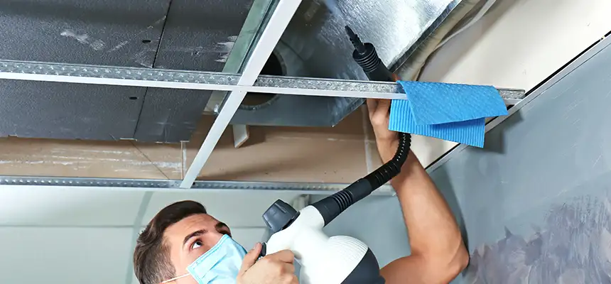 Our Air Duct Rodent Removal Services in Stockbridge, GA