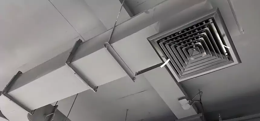 Restorative Allergy Relief Vent Cleaning – Coil, Blower & Housing Detail in Stockbridge