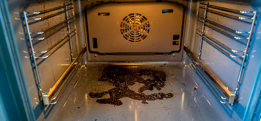 Our Dryer Vent Mold Cleaning Services in Stockbridge, GA