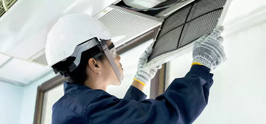 Our Mold & Mildew Removal from Air Ducts Services in Stockbridge, GA