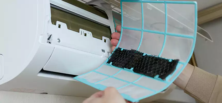 Gentle Ductwork Odor-Control Pet Dander Duct Cleaning in Stockbridge, GA