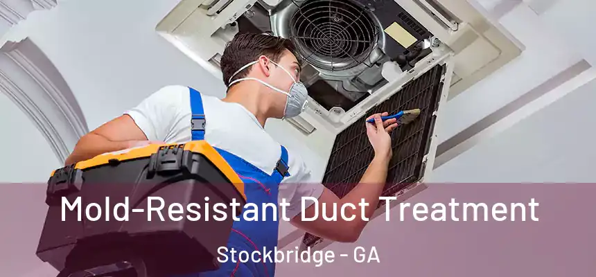 Mold-Resistant Duct Treatment Stockbridge - GA