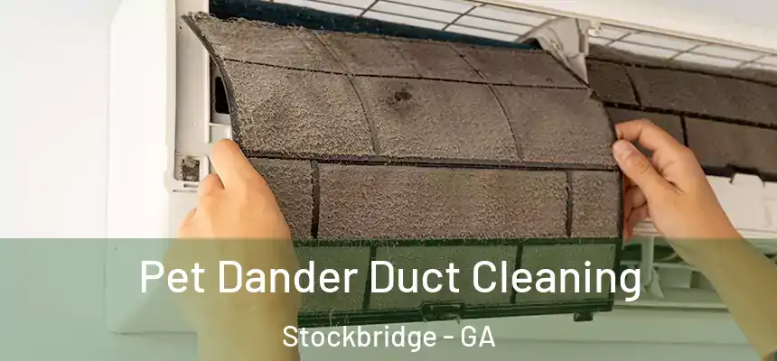 Pet Dander Duct Cleaning Stockbridge - GA