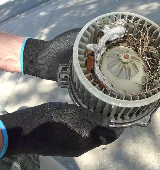 About Air Duct Mice Removal in Stockbridge, GA