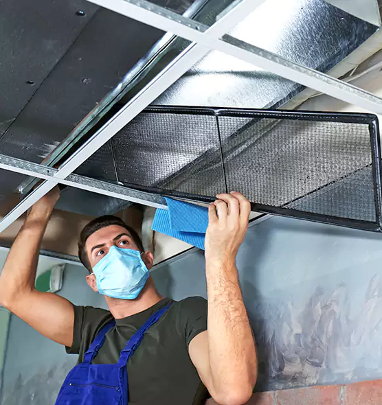 Professional Air Duct Pollen Cleaning in Stockbridge, GA
