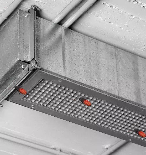 Affordable Insect Removal from Air Ducts in Stockbridge, GA