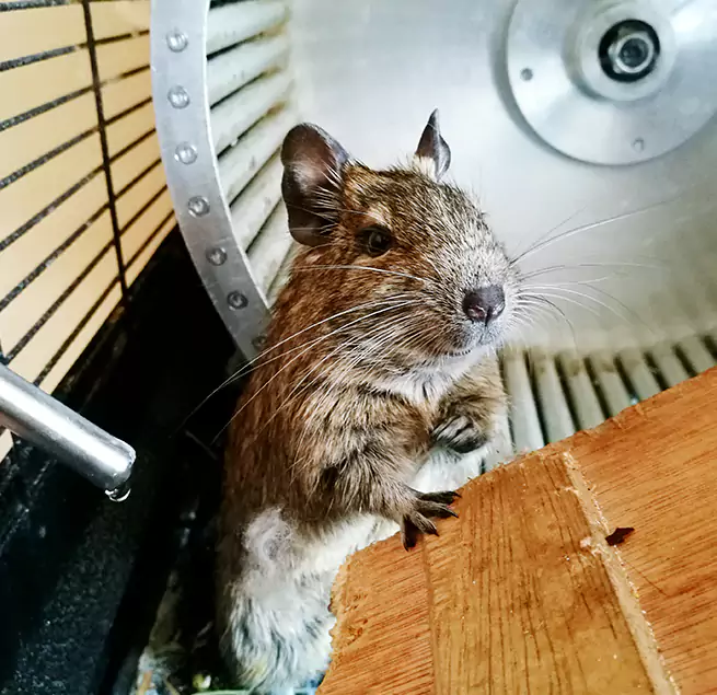 Why Homeowners & Businesses Trust Us Stockbridge, GA