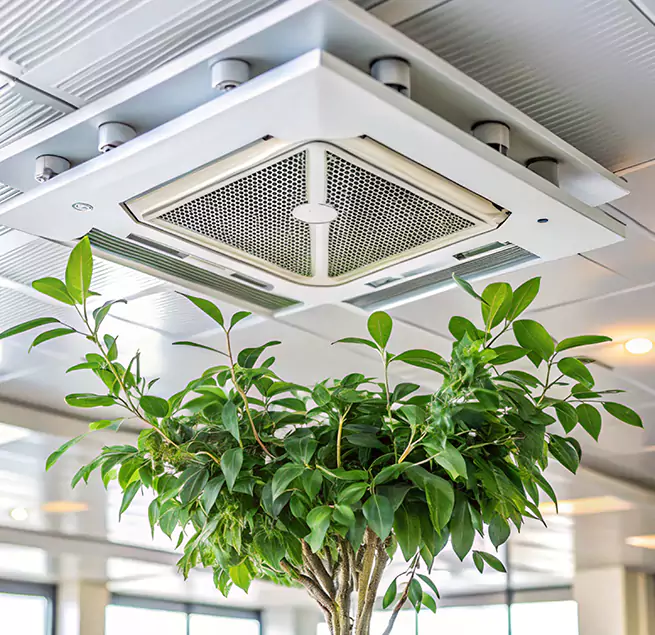 Why Homeowners & Businesses Trust Us in Stockbridge, GA?