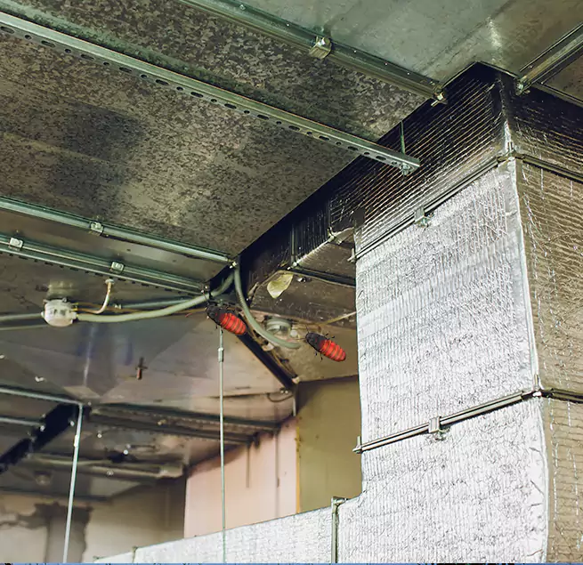 Why Homeowners & Businesses Trust Us Stockbridge, GA?