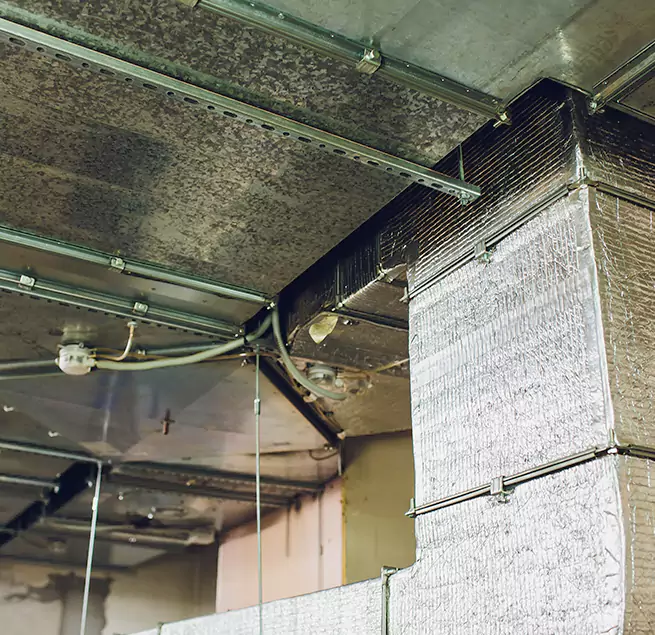 Why Homeowners & Businesses Trust Us in Stockbridge, GA?